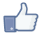 Facebook Like